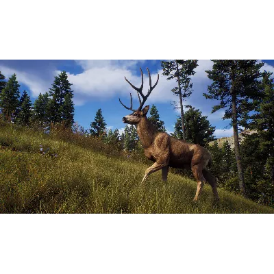 WAY OF THE HUNTER: ELITE EDITION XBOX X|S КЛЮЧ - irongamers.ru