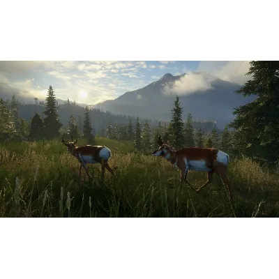 THEHUNTER CALL OF THE WILD SILVER RIDGE PEAKS XBOX КОД - irongamers.ru