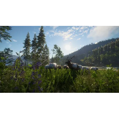 THEHUNTER CALL OF THE WILD SILVER RIDGE PEAKS XBOX КОД - irongamers.ru