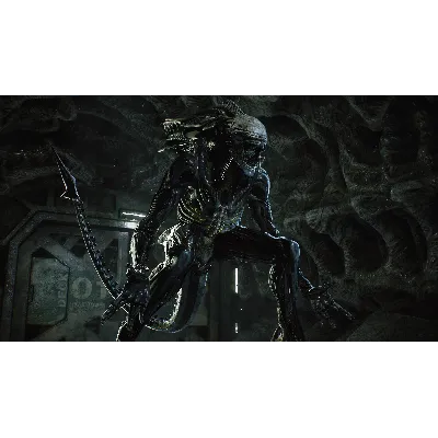 ALIENS: FIRETEAM ELITE XBOX ONE/X|S+ПК КЛЮЧ - irongamers.ru