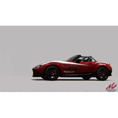 Assetto corsa - Japanese Pack DLC * STEAM RU - irongamers.ru