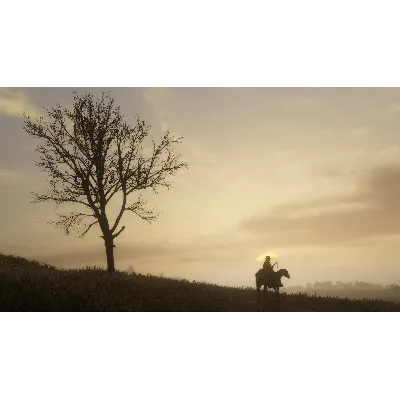 RED DEAD REDEMPTION 2 + ONLINE XBOX ONE/X|S КЛЮЧ - irongamers.ru