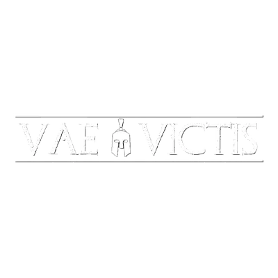 Vae Victis | Steam РУ+UA+KZ+СНГ - irongamers.ru