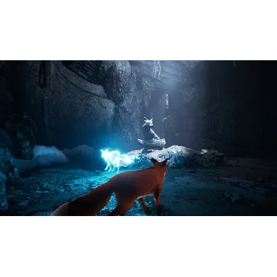 Spirit of the North STEAM•RU АВТОДОСТАВКА 0% - irongamers.ru
