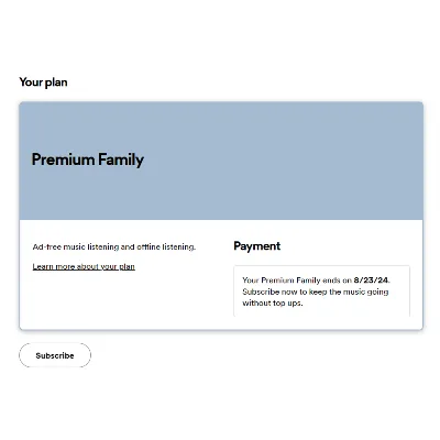ПОДПИСКА SPOTIFY PREMIUM НА 1-12 МЕСЯЦЕВ PAYPAL - irongamers.ru