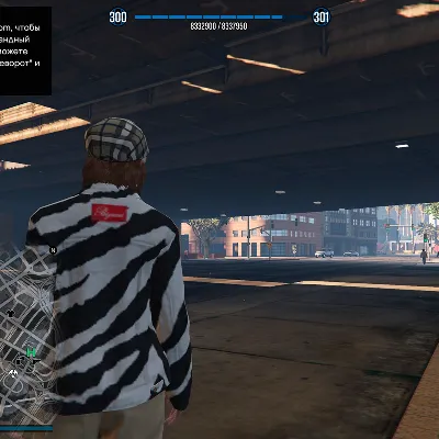 GTA УРОВЕНЬ ПЕРСОНАЖА АВТОКЛУБ ЛВЛ БАНДЫ СМЕНА ПОЛА ГТА +1 к уровню персонажа - irongamers.ru