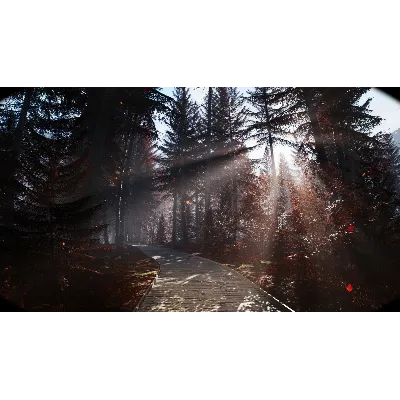 Great North Shelter 2 АВТОДОСТАВКА STEAM GLOBAL МГНОВЕННО ЛИЦЕНЗИЯ - irongamers.ru