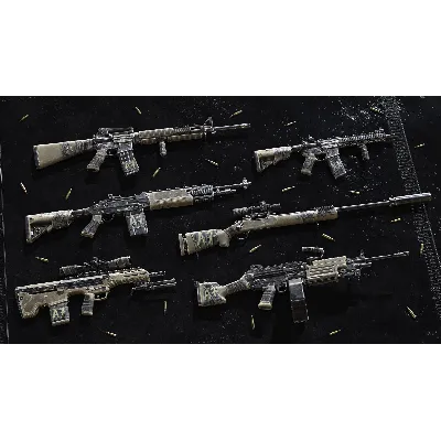Insurgency: Sandstorm - Worn Veteran Weapon Skin Set - irongamers.ru