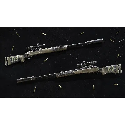 Insurgency: Sandstorm - Worn Veteran Weapon Skin Set - irongamers.ru
