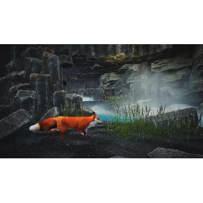 SPIRIT OF THE NORTH: ENHANCED EDITION XBOX X|S КЛЮЧ - irongamers.ru