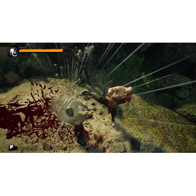 9 MONKEYS OF SHAOLIN + ASH OF GODS + REDEEMER: BUNDLE - irongamers.ru