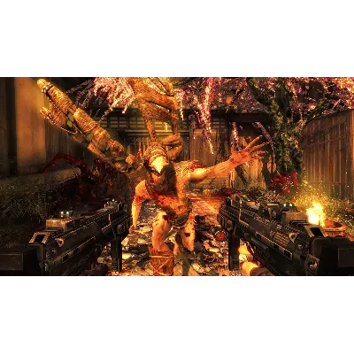 THE SHADOW WARRIOR COLLECTION XBOX ONE/X|S КЛЮЧ - irongamers.ru