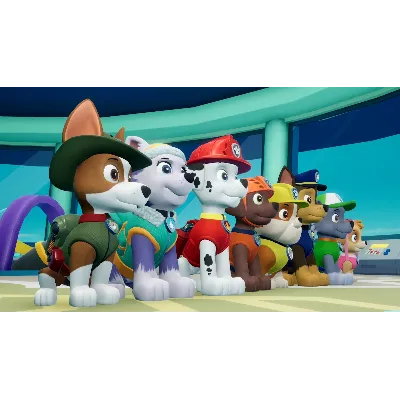 PAW PATROL BUNDLE XBOX ONE/X|S КЛЮЧ - irongamers.ru