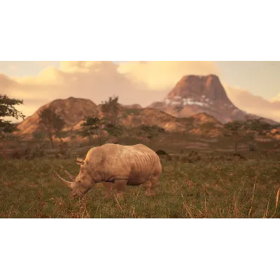 Animalia Survival * STEAM RU АВТО 0% - irongamers.ru