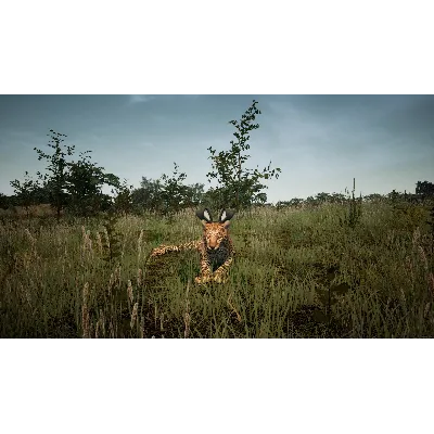 Animalia Survival EggHunt DLC * STEAM RU АВТО 0% - irongamers.ru