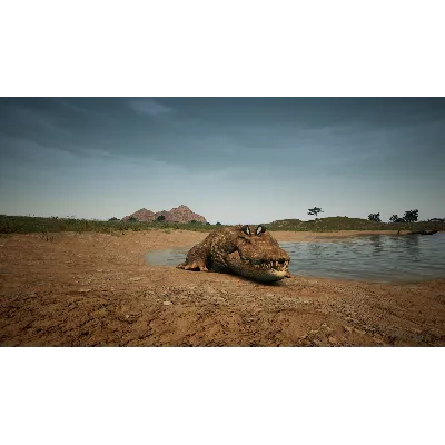 Animalia Survival EggHunt DLC * STEAM RU АВТО 0% - irongamers.ru