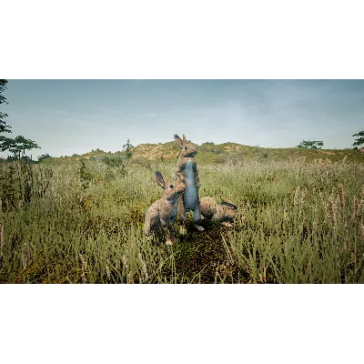 Animalia Survival EggHunt DLC * STEAM RU АВТО 0% - irongamers.ru