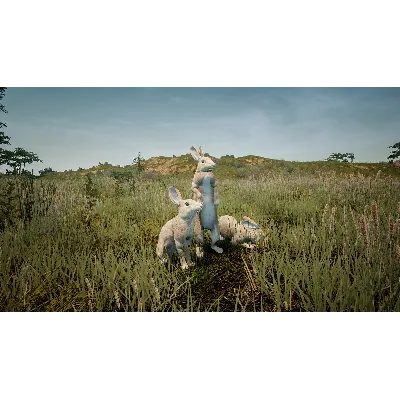 Animalia Survival EggHunt DLC * STEAM RU АВТО 0% - irongamers.ru
