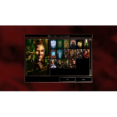 Neverwinter Nights: Enhanced Edition Heroes of Neverwin - irongamers.ru