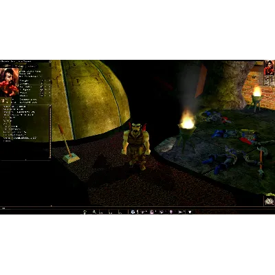 Neverwinter Nights: Enhanced Edition Heroes of Neverwin - irongamers.ru