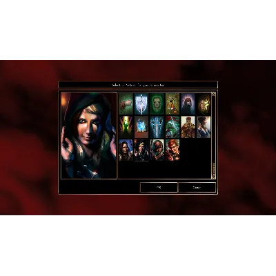 Neverwinter Nights: Enhanced Edition Heroes of Neverwin - irongamers.ru