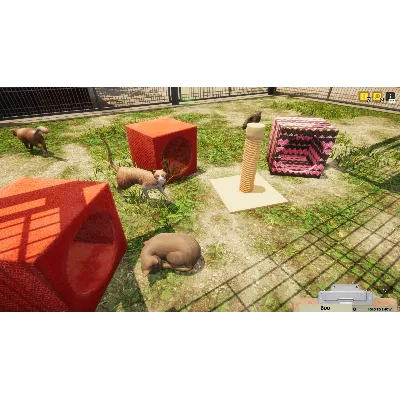 Animal Shelter * STEAM RU АВТО 0% - irongamers.ru