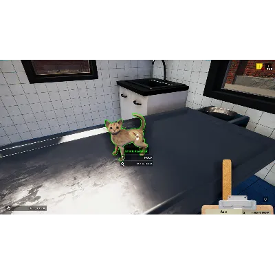 Animal Shelter - Puppies & Kittens DLC * STEAM RU - irongamers.ru