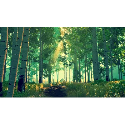Firewatch * STEAM РОССИЯ АВТОДОСТАВКА 0% КАРТЫ - irongamers.ru
