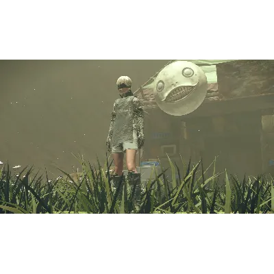 NieR:Automata - 3C3C1D119440927 · DLC Steam АВТО 0% - irongamers.ru