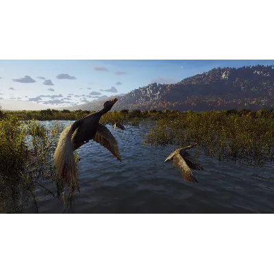 Way of the Hunter Elite Edition * STEAM RU АВТО 0% - irongamers.ru