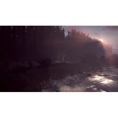 LIFE IS STRANGE 2 - COMPLETE SEASON XBOX ONE/X|S КЛЮЧ - irongamers.ru
