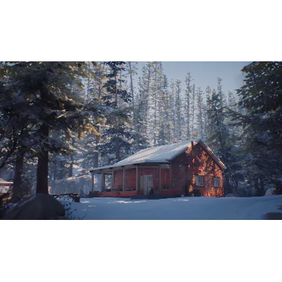LIFE IS STRANGE 2 - COMPLETE SEASON XBOX ONE/X|S КЛЮЧ - irongamers.ru