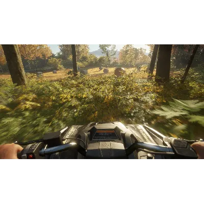 THEHUNTER: CALL OF THE WILD XBOX ONE/X|S КЛЮЧ - irongamers.ru