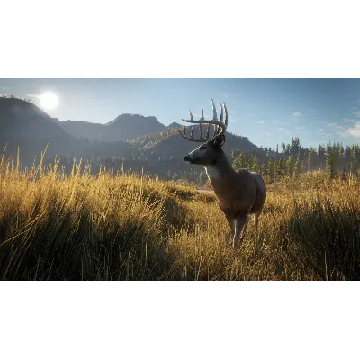 THEHUNTER: CALL OF THE WILD XBOX ONE/X|S КЛЮЧ - irongamers.ru