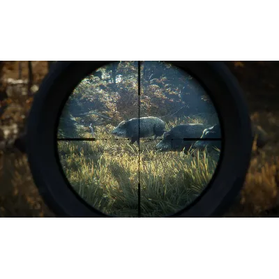 THEHUNTER: CALL OF THE WILD XBOX ONE/X|S КЛЮЧ - irongamers.ru