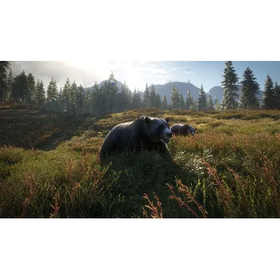 THEHUNTER: CALL OF THE WILD XBOX ONE/X|S КЛЮЧ - irongamers.ru
