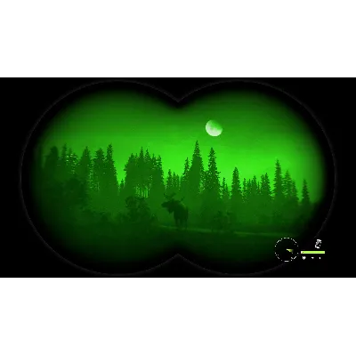 THEHUNTER: CALL OF THE WILD - GREENHORN BUNDLE XBOX - irongamers.ru