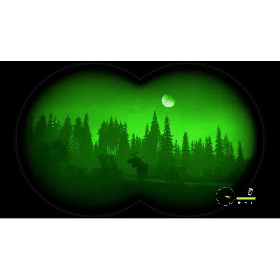 THEHUNTER: CALL OF THE WILD - HIGH-TECH PACK XBOXКОД - irongamers.ru