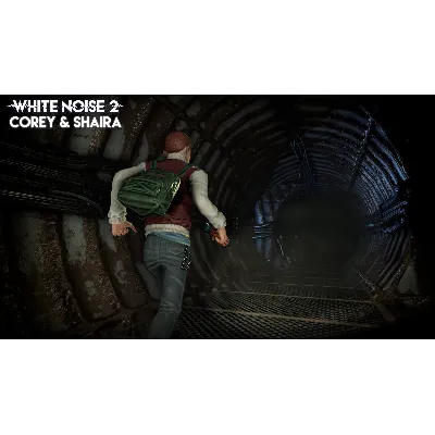 White Noise 2 - Corey & Shaira DLC * STEAM RU - irongamers.ru