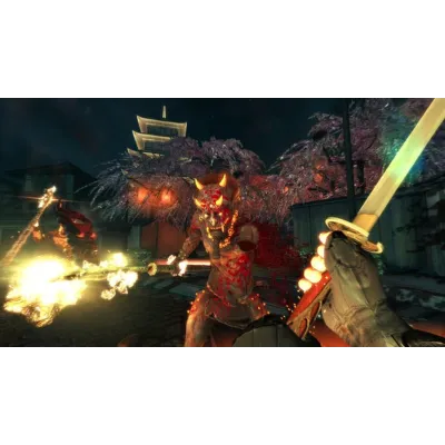Shadow Warrior Special Edition - STEAM Key Region Free - irongamers.ru