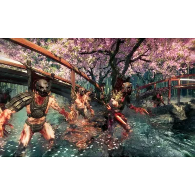 Shadow Warrior Special Edition - STEAM Key Region Free - irongamers.ru