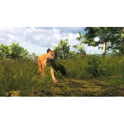 theHunter Classic - Steam Оффлайн - irongamers.ru