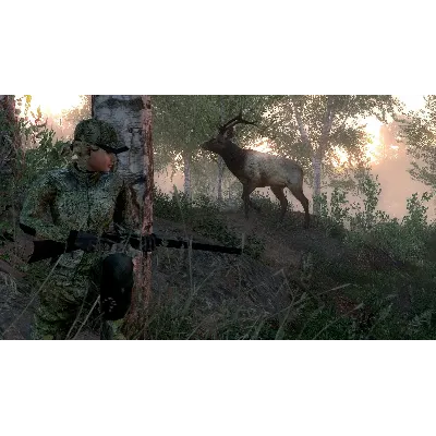 theHunter Classic - Steam Оффлайн - irongamers.ru