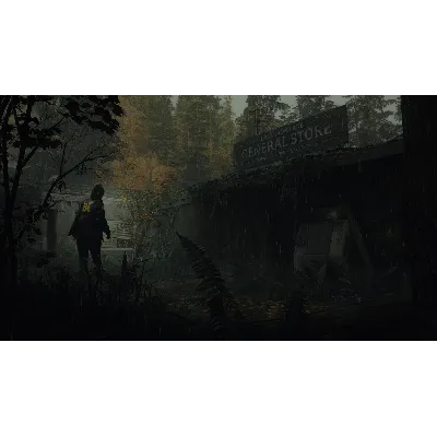 Alan Wake 2 Deluxe Edition - Epic Games Оффлайн - irongamers.ru