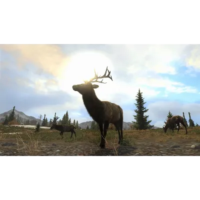 Cabela&acute;s Big Game Hunter Pro Hunts (Steam M)(ROW) - irongamers.ru