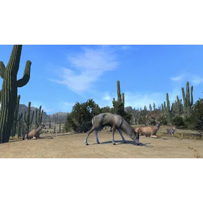 Cabela&acute;s Big Game Hunter Pro Hunts (Steam M)(ROW) - irongamers.ru