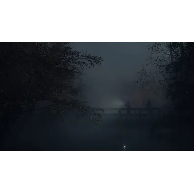 Alan Wake 2 Deluxe+ПАТЧИ+ВСЕ DLC+The Lake House RUS - irongamers.ru