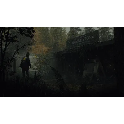 ALAN WAKE 2 (XBOX SERIES) ВСЕ ИЗДАНИЯ - irongamers.ru