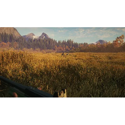 theHunter: Call of the Wild™ - Hunter Power Pack DLC - irongamers.ru