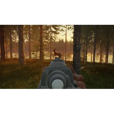 theHunter: Call of the Wild™ - Hunter Power Pack DLC - irongamers.ru